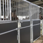 An image of a row of horse stalls arranged in a covered area, characterized by their metal framing and large openings, providing visibility to the horses inside.