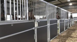 An image of a row of horse stalls arranged in a covered area, characterized by their metal framing and large openings, providing visibility to the horses inside.