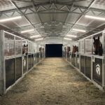 An indoor view of a stable with multiple metal-framed stalls, featuring wire mesh and dark panels, housing horses. A blue wheelbarrow and some equipment are visible on the ground.