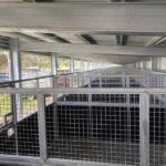 An interior view of a series of metal horse stalls lined up in a facility, featuring metal grates and dark panels, providing a spacious environment for horses.