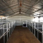 The inside of a large horse stable with multiple stalls is shown, featuring metal grids and black panels, bathed in natural light from the overhead windows.