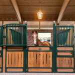 A horse standing in a stall with green metal fencing and wooden panels. The stall features lantern-style lights above, and the background reveals a cozy stable environment.