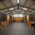 A spacious horse stable interior with multiple stalls lined up on both sides, equipped with feeding buckets and harnesses hanging outside. The walls are wooden and the ceiling is high.