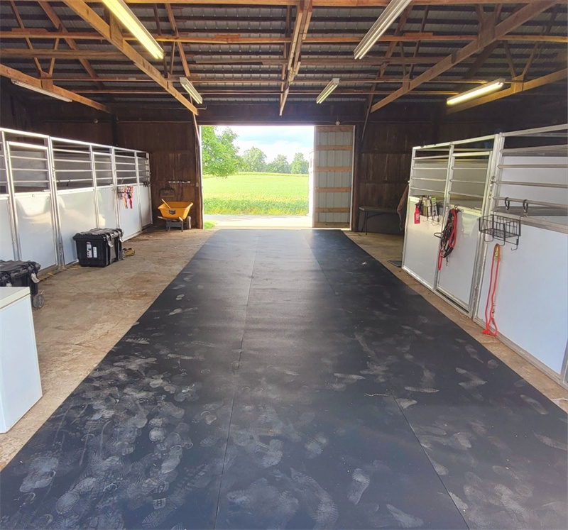 Professional horse infrastructure barn interior featuring galvanized steel stalls, safety flooring and efficient tack storage systems for Australian equine facilities.