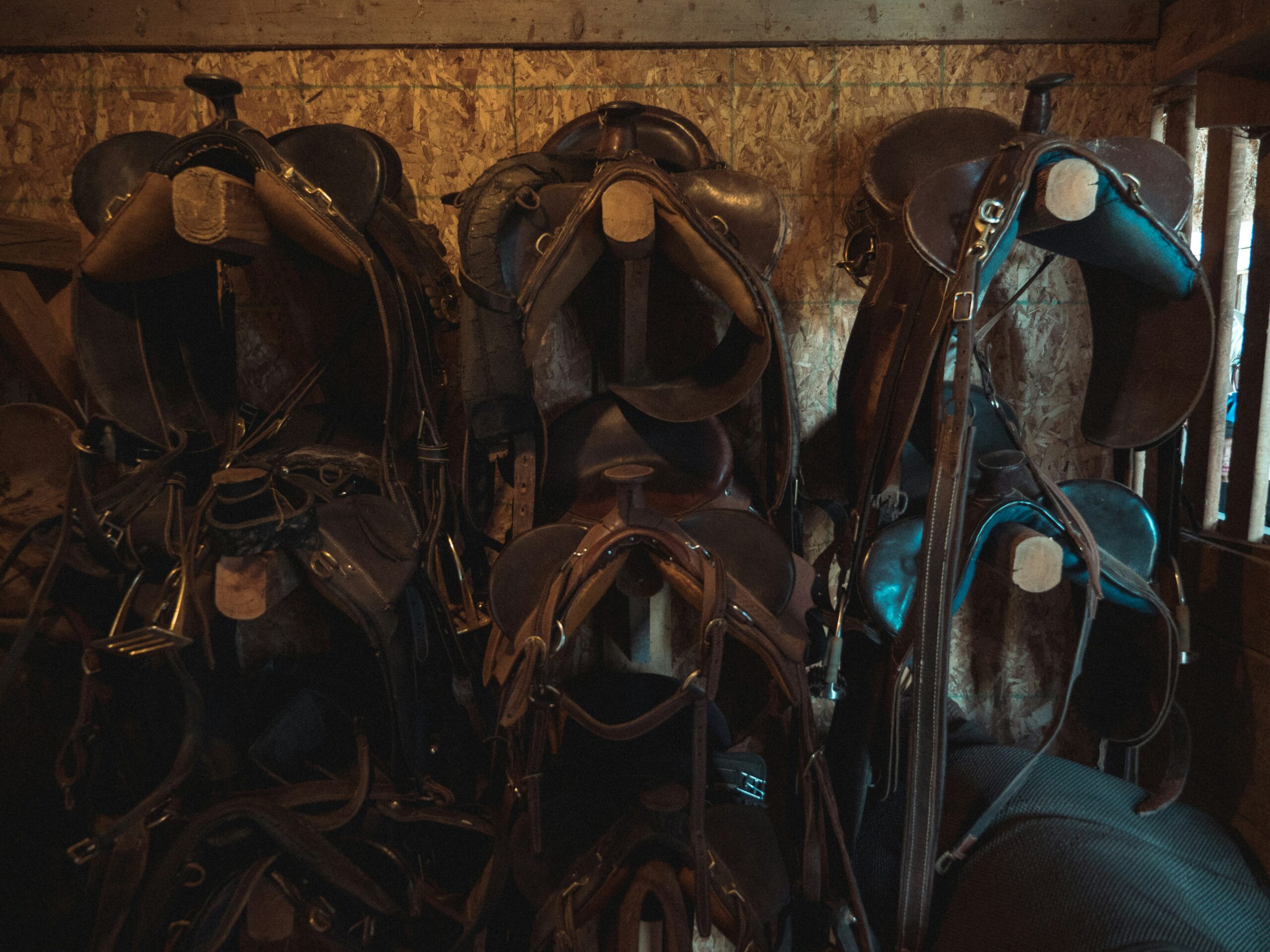 Building horse stables Australia Flat-Pack vs Pre-Assembled: Logistics for Bulk Orders