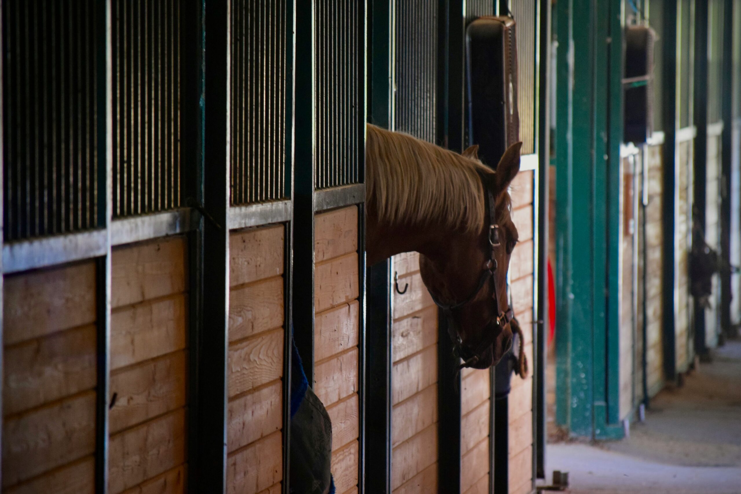 custom stable design Premium Finishes That Justify ROI