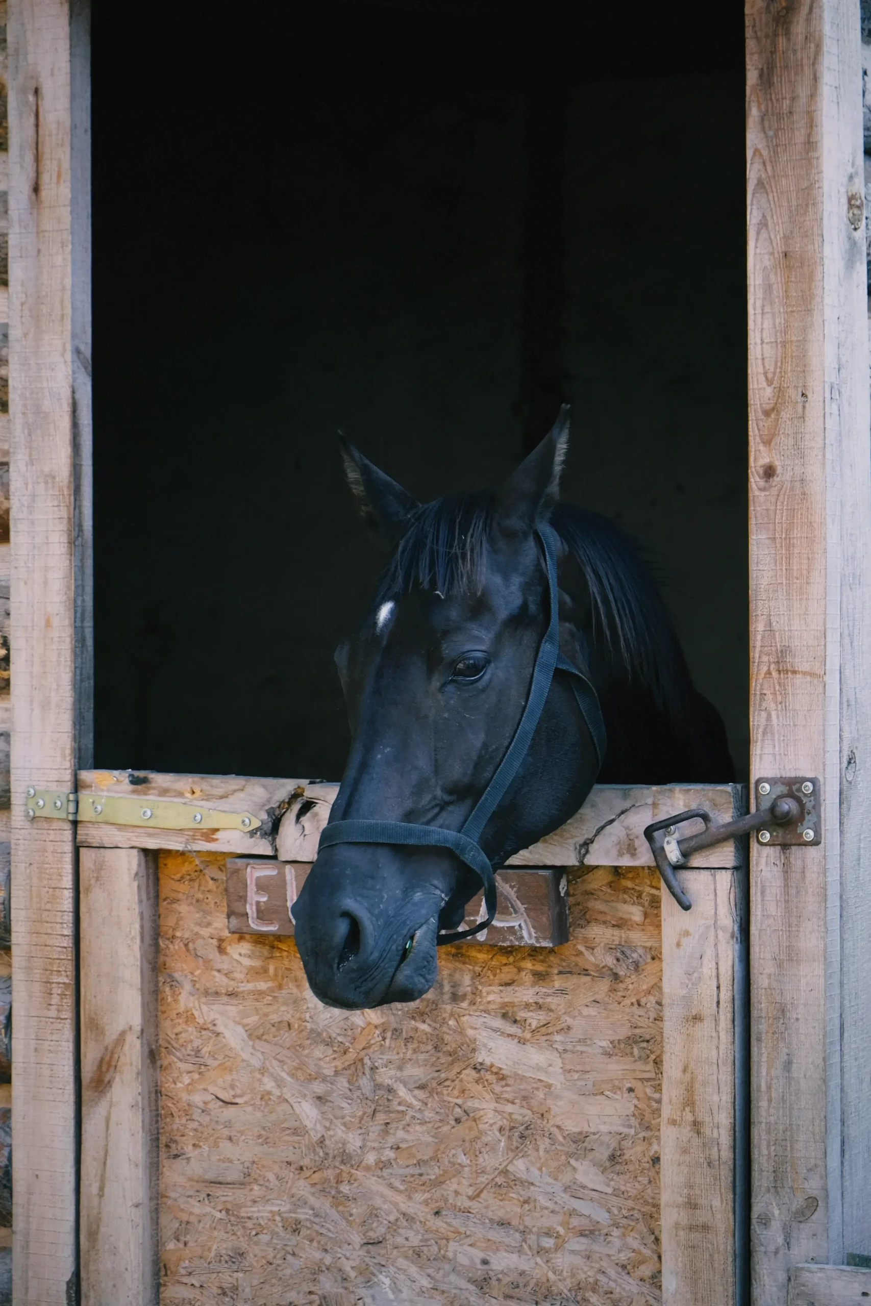 diy horse stable kits australia DIY Horse Stable Kits Australia: Plywood vs HDPE Costs