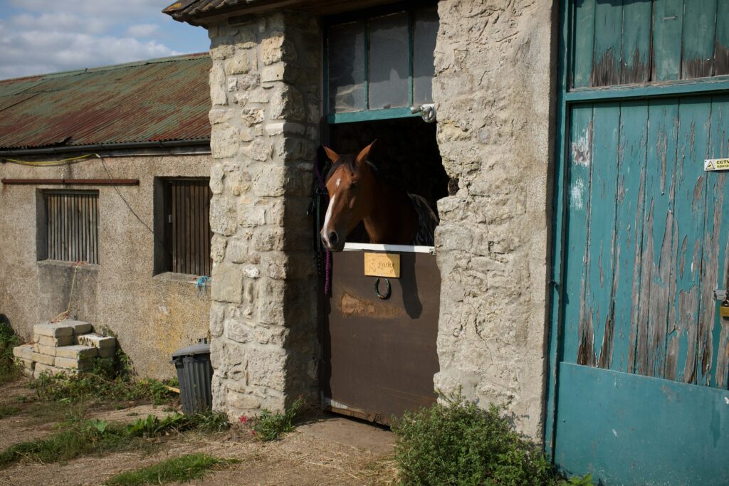 flat pack horse stables Freight Math
