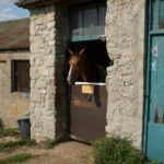 flat pack horse stables Freight Math