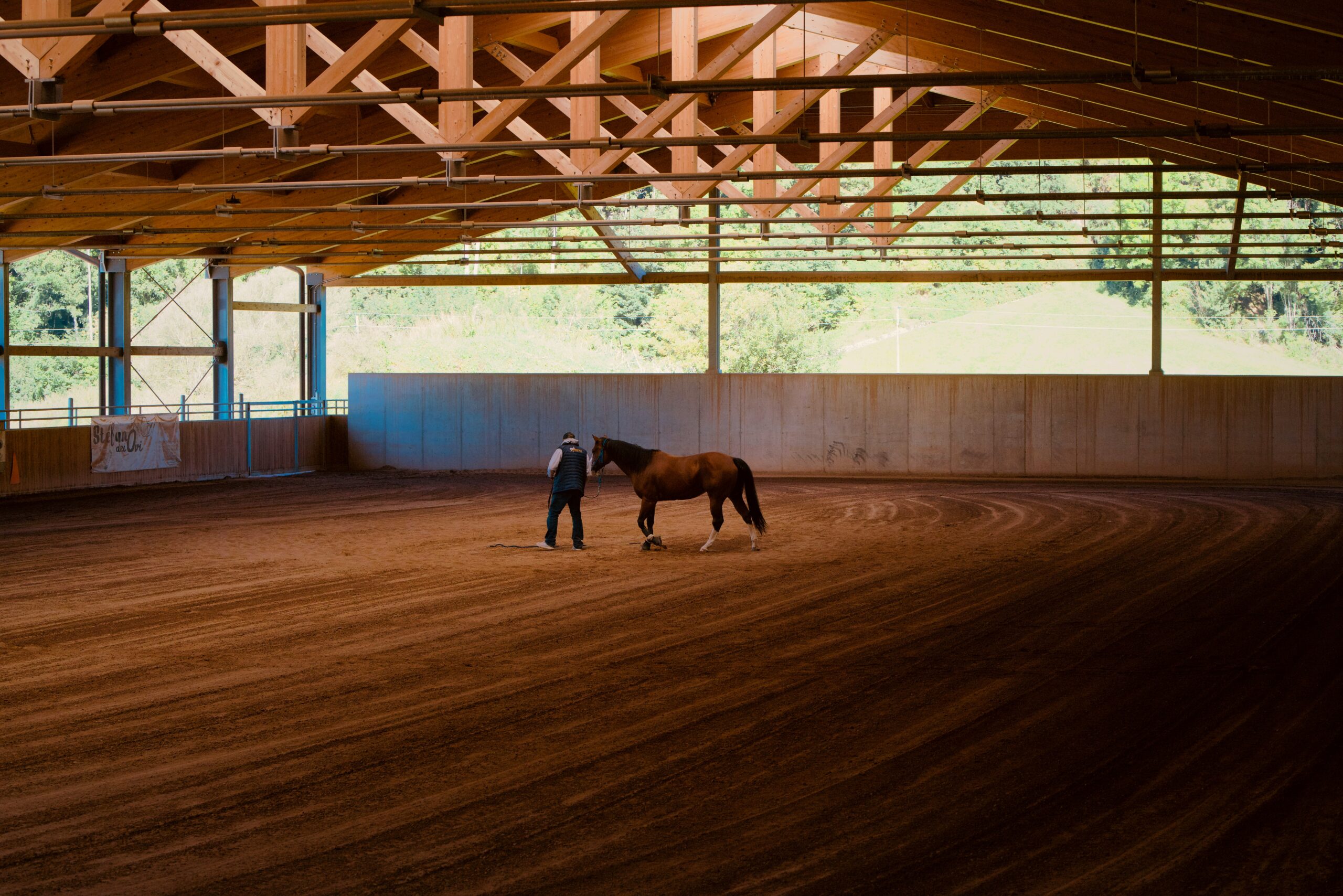 horse-stall-dimensions-guide-layout-planning-for-c-8