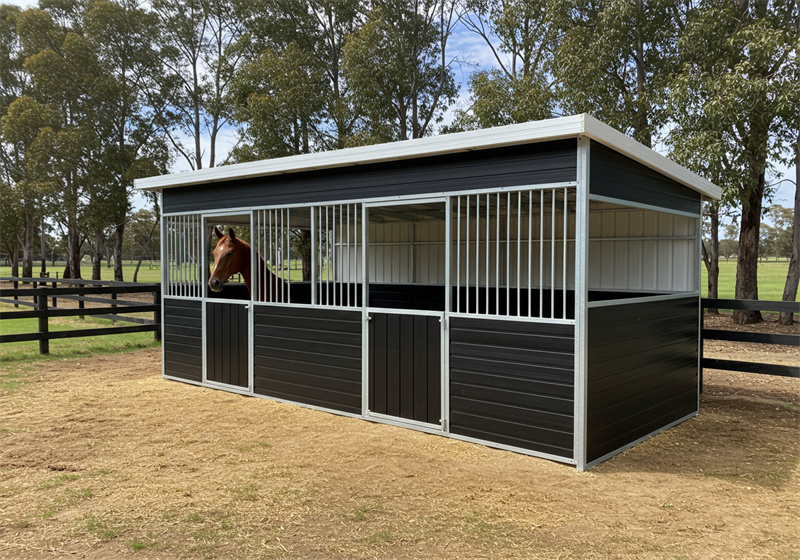 A three-stall flat-pack horse stable with dark grey lower panels and white upper sections and roof trim. A horse with a brown coat is visible looking out from the center stall, which has metal bars.