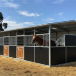 A multi-stall flat-pack horse stable featuring dark brown lower panels, lighter grey upper sections, and light wooden stall doors. A bay horse looks out from one of the stalls, and the stable has a metal roof with some translucent panels.