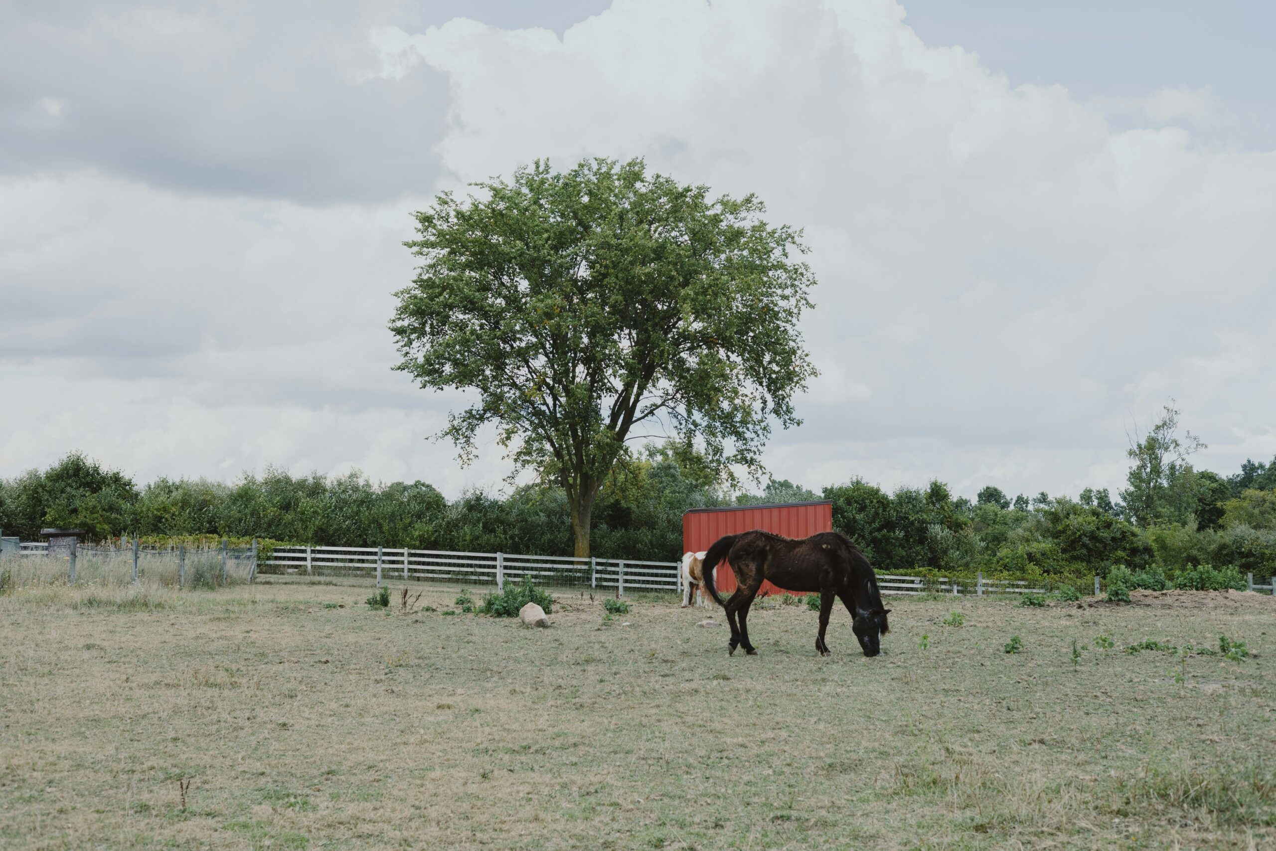 portable horse shelter benefits Tax and Depreciation Advantages