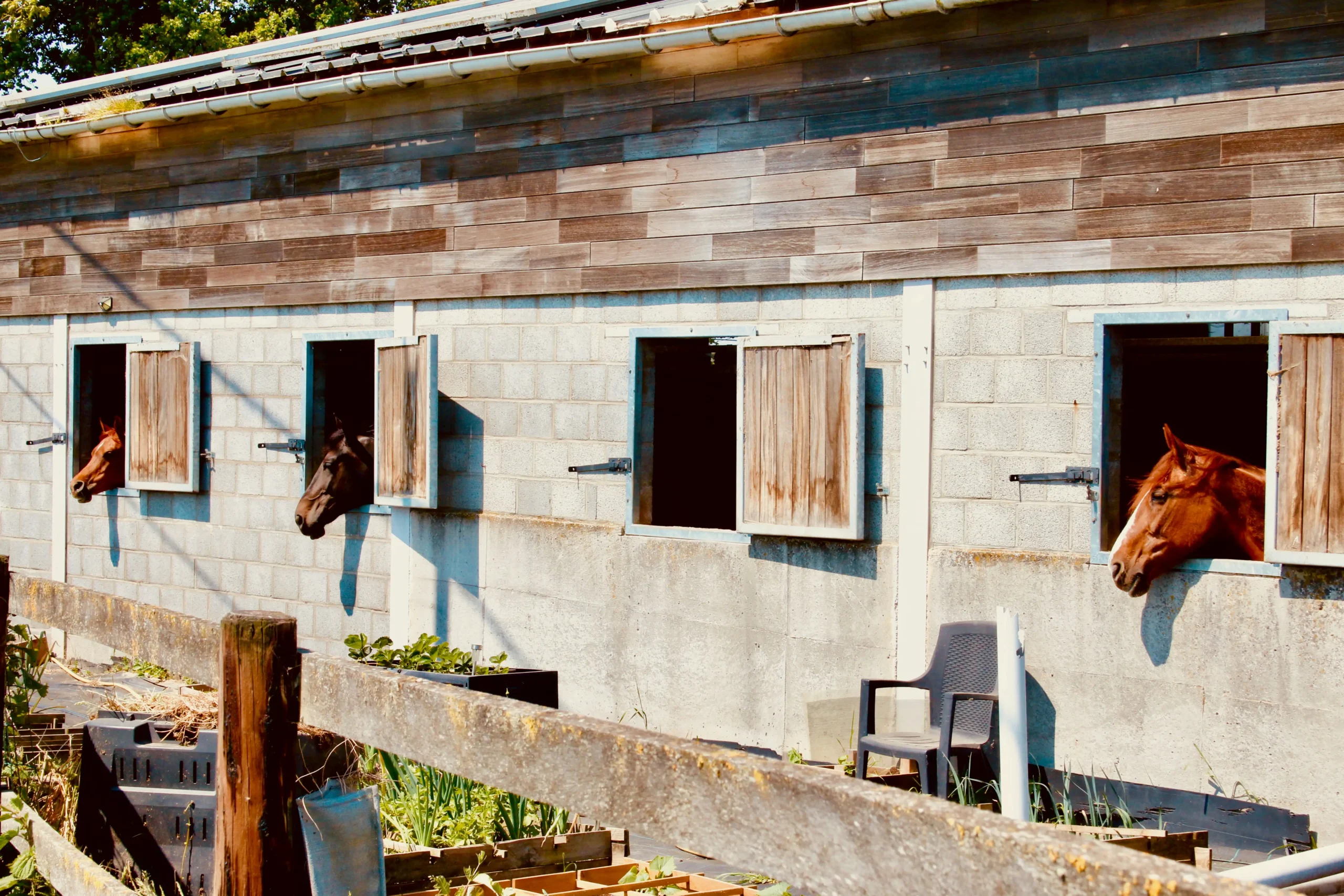 portable horse stables 10-Year TCO: Local Build vs Imported Flat-Pack