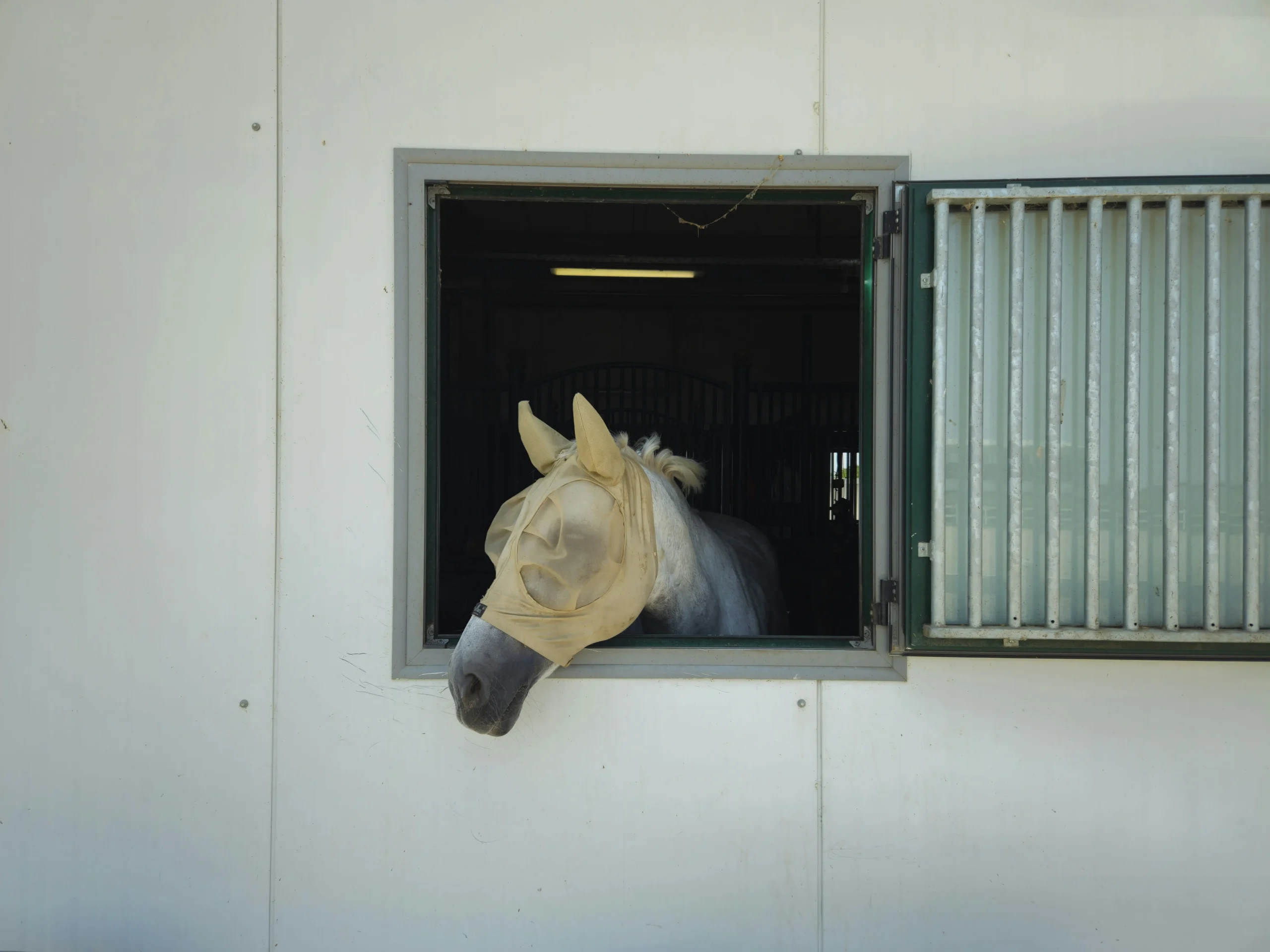 portable horse stables Hidden Costs Competitors Don't Publish