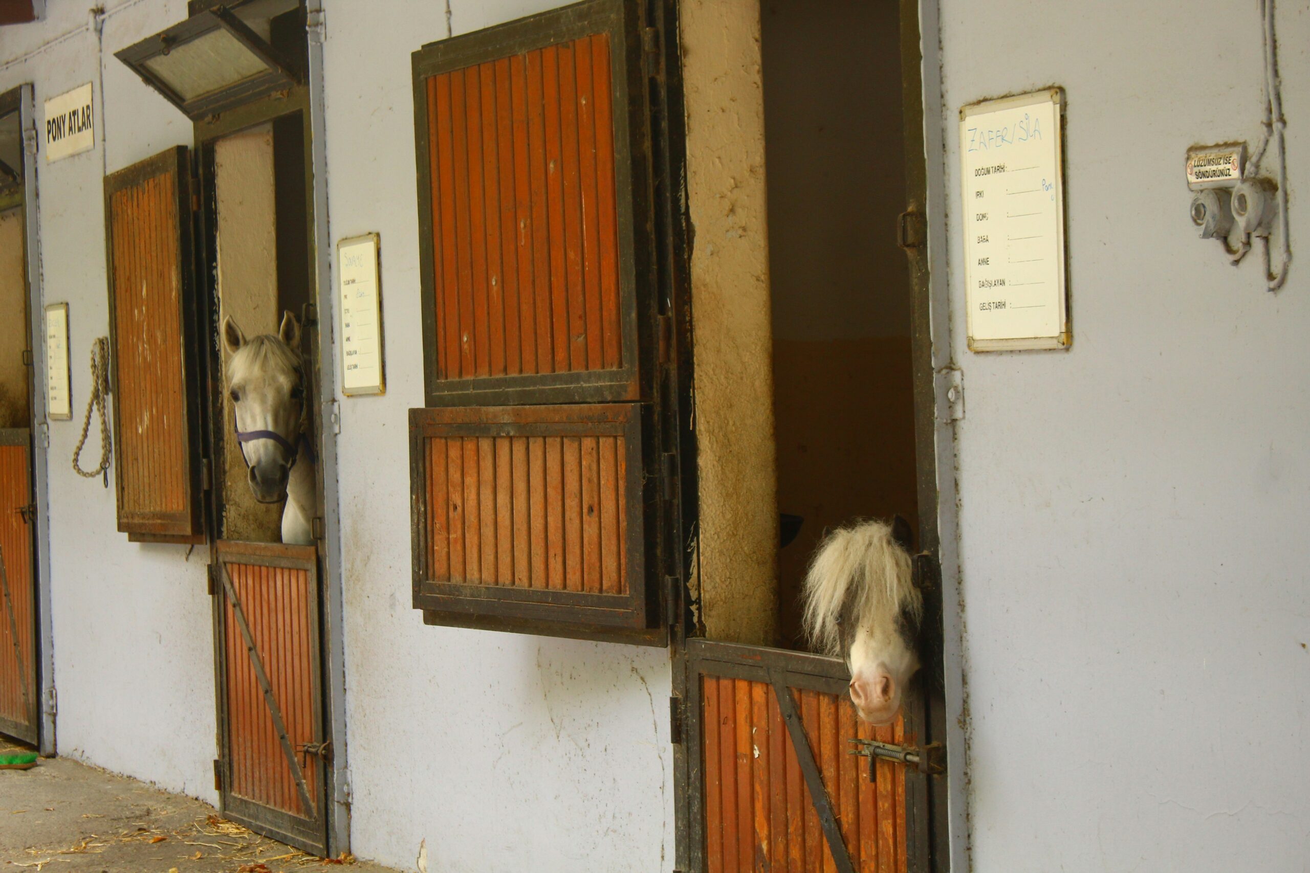 Horse Stable Hinge Repair: Fix Rusted Latches Fast