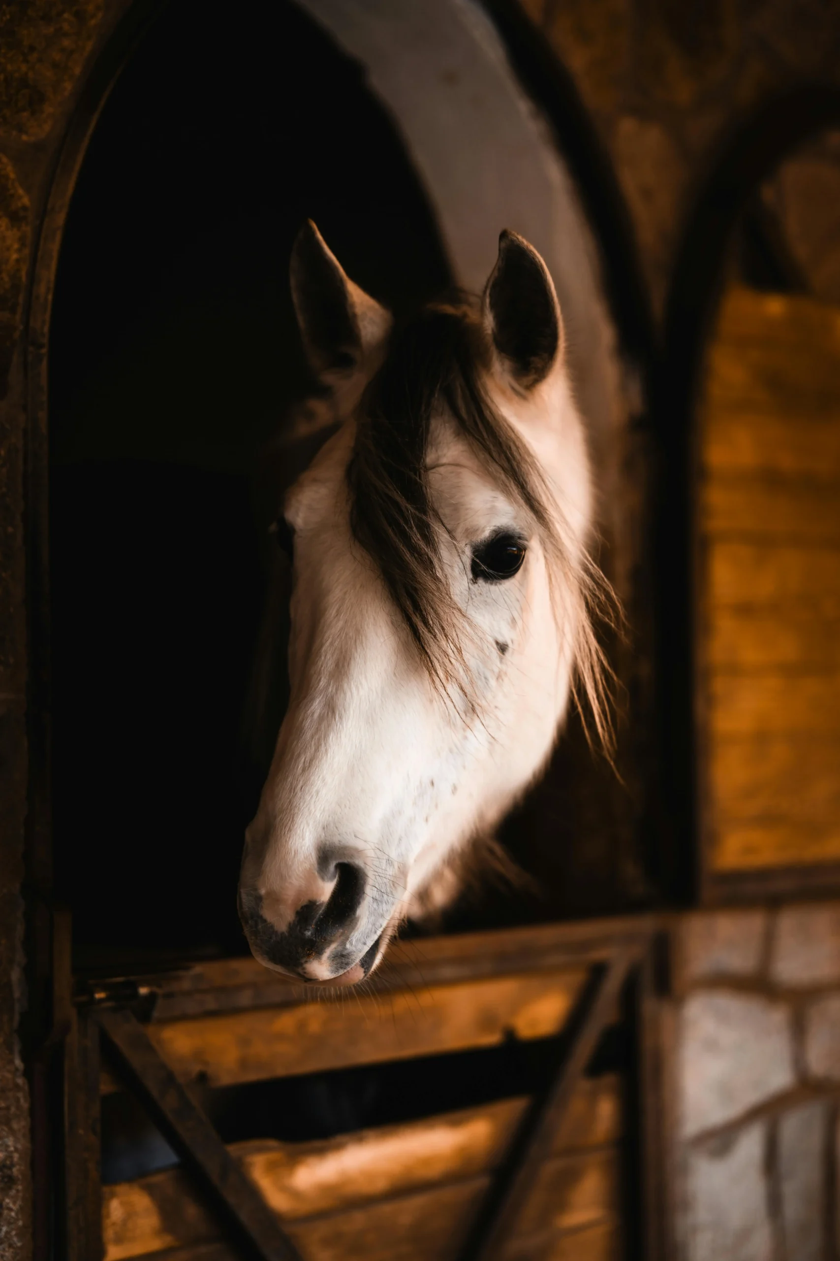 portable horse stables Stable Block Cost: Local Build vs Import