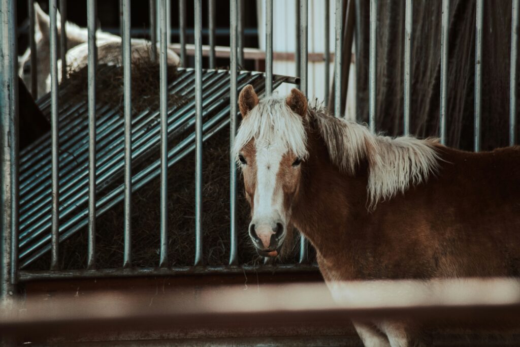 portable horse stables Supplier Vetting Checklist