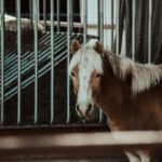 portable horse stables Supplier Vetting Checklist