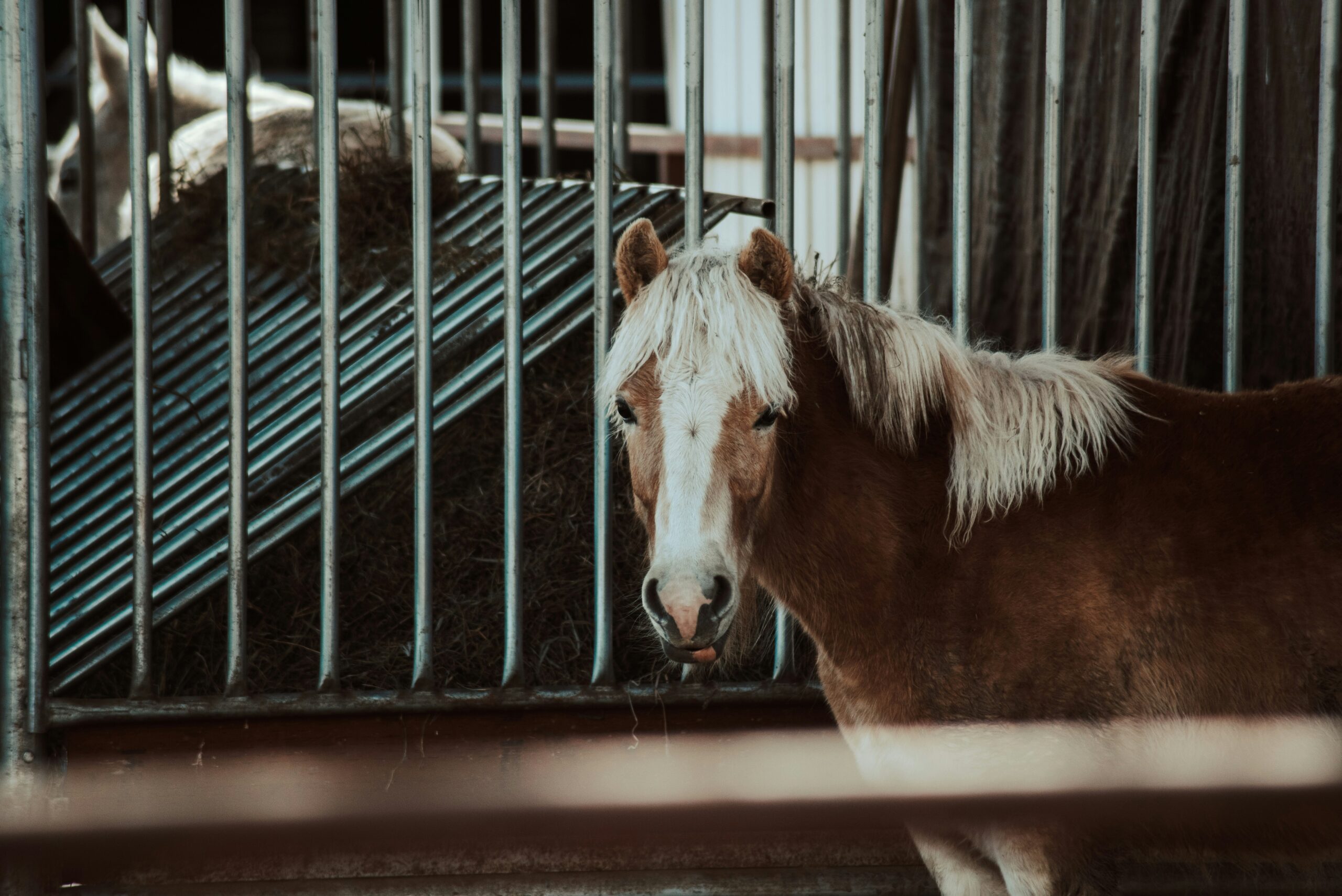 portable horse stables Supplier Vetting Checklist