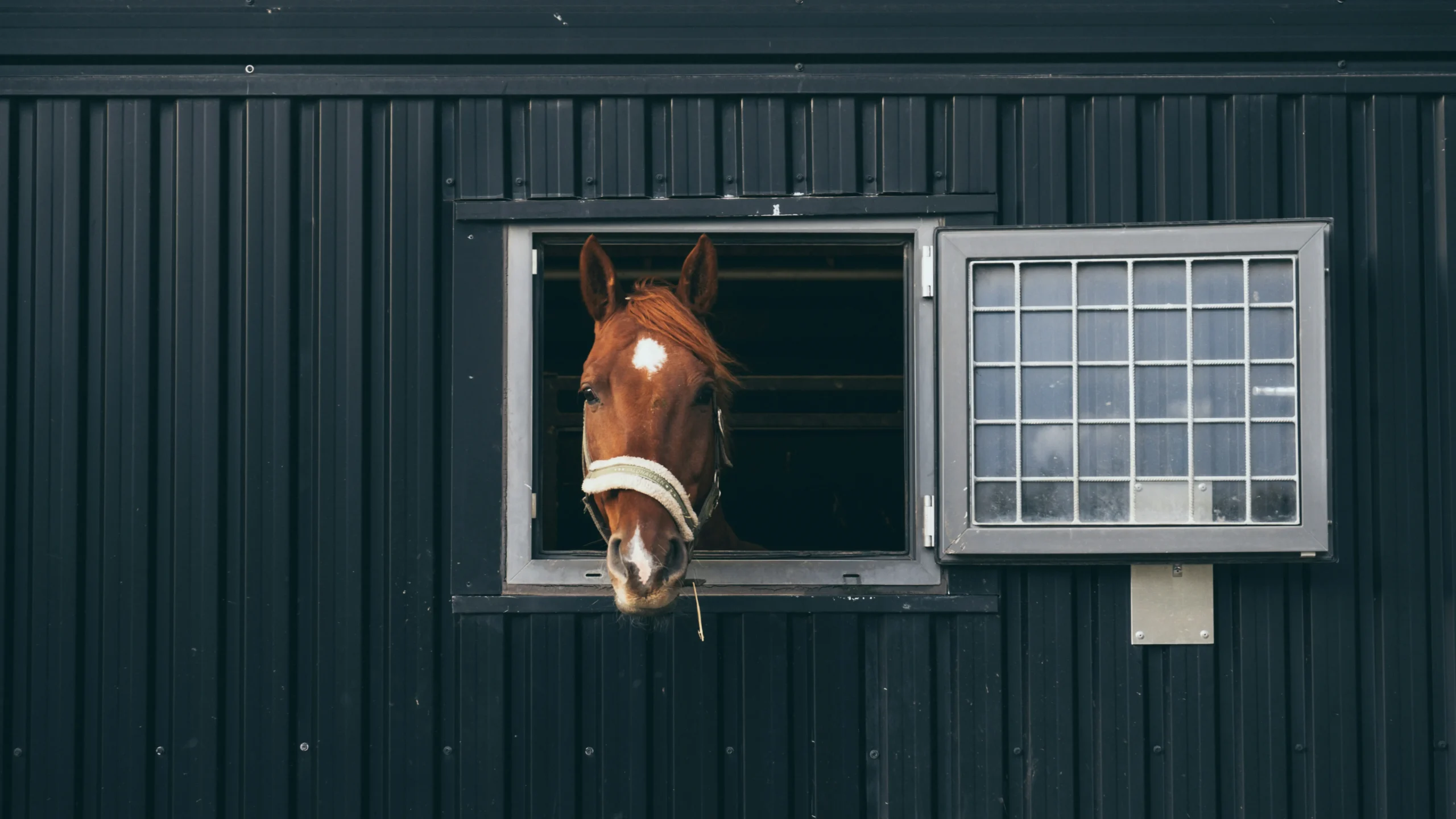 stable panel specs