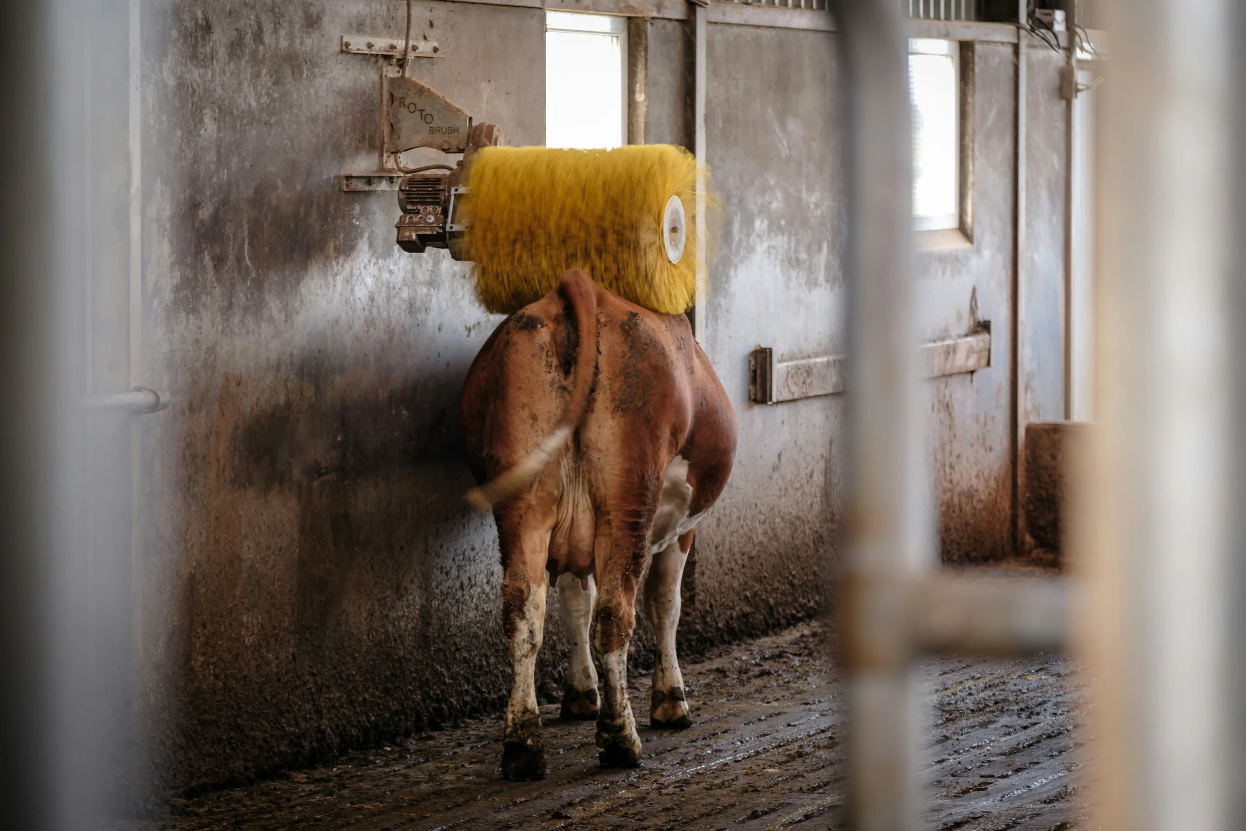 stable supplier compliance
