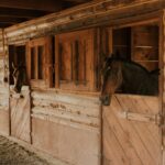 steel vs wood stables