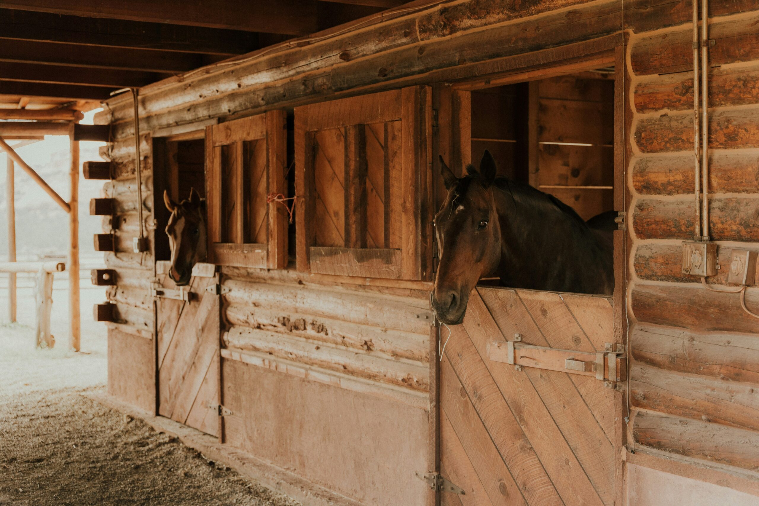 steel vs wood stables