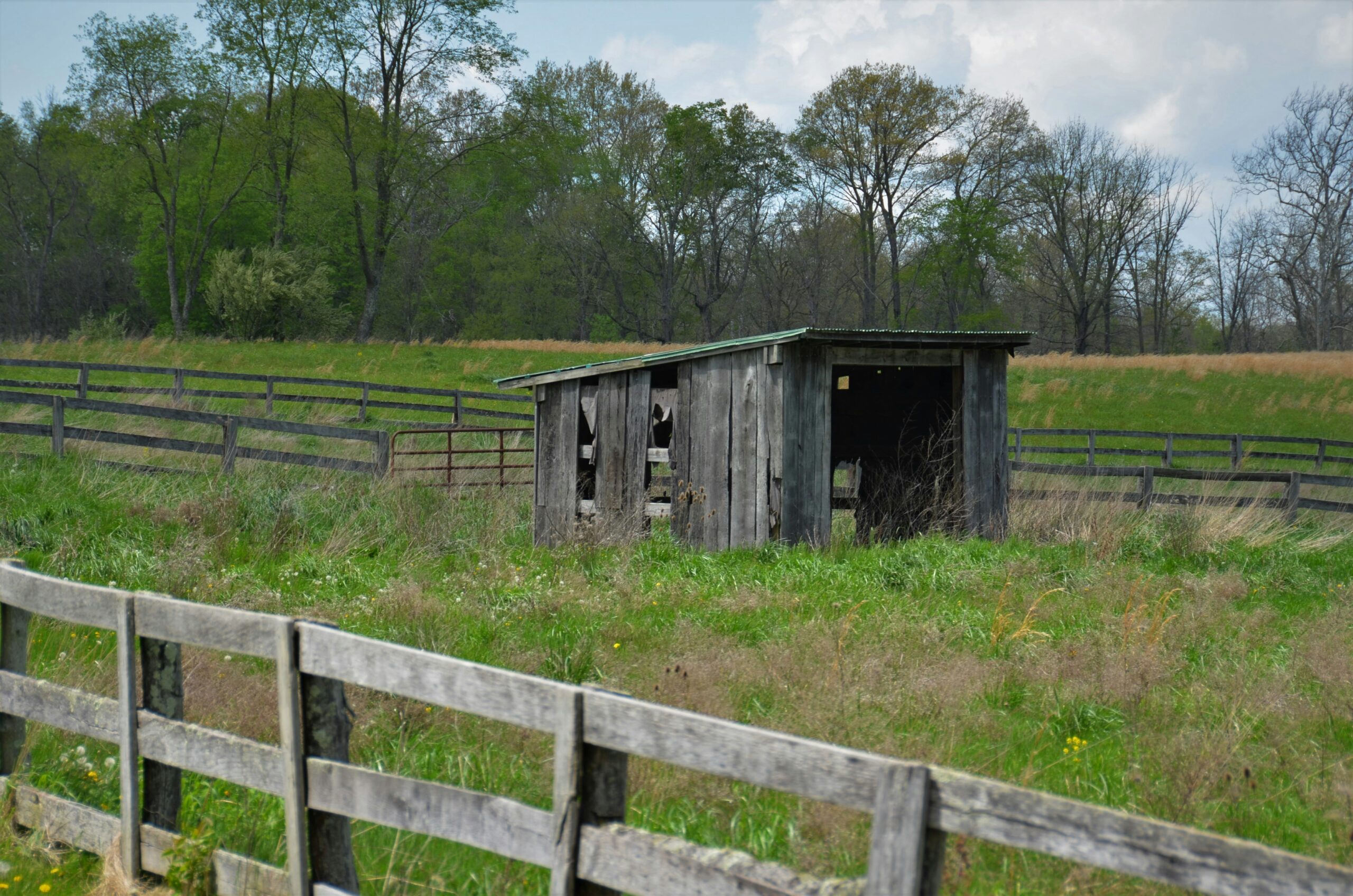 Thoroughbred Stables: Why Prefab Kits Fail Thoroughbred Safety Stall Features