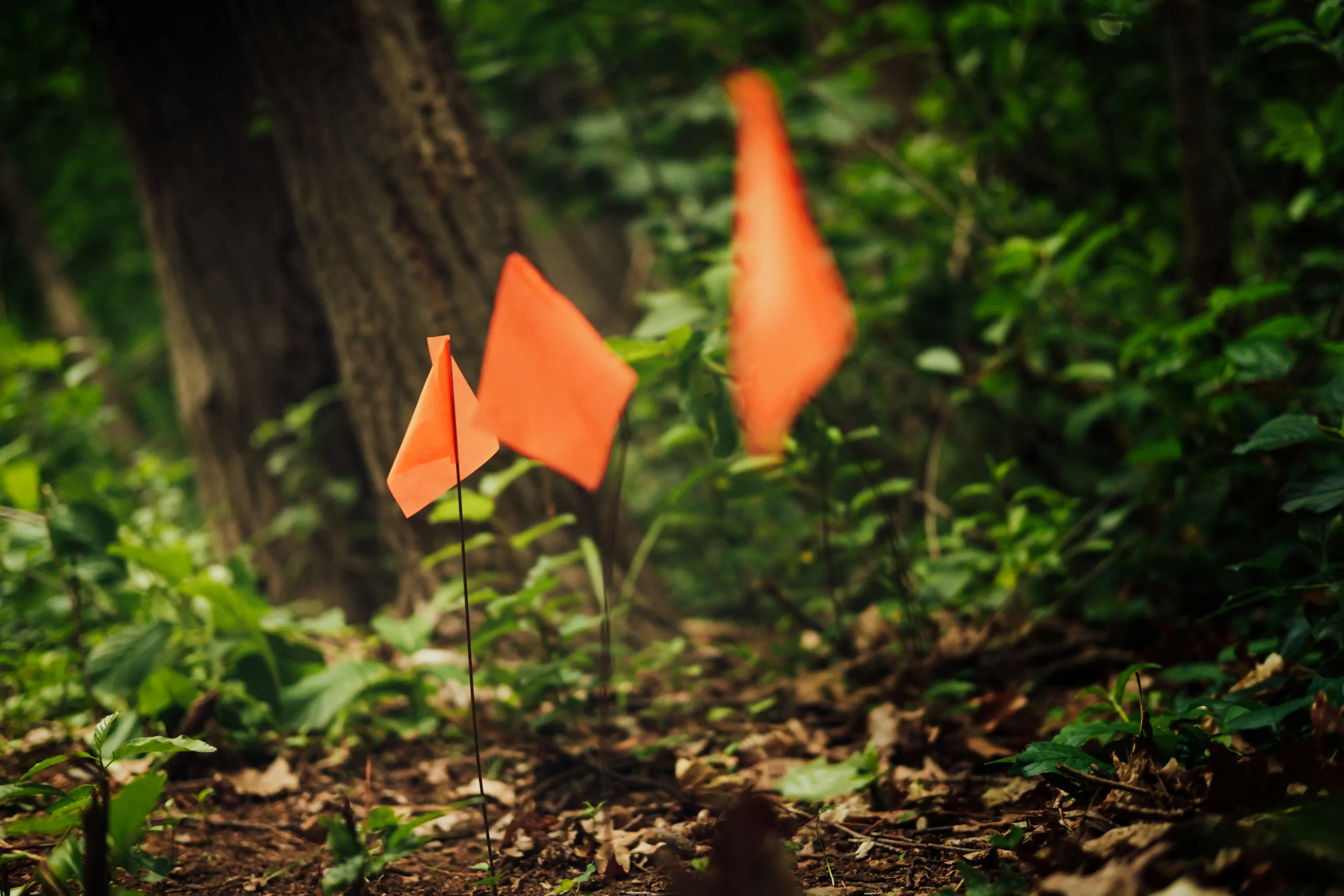 audit checklist red flag marker