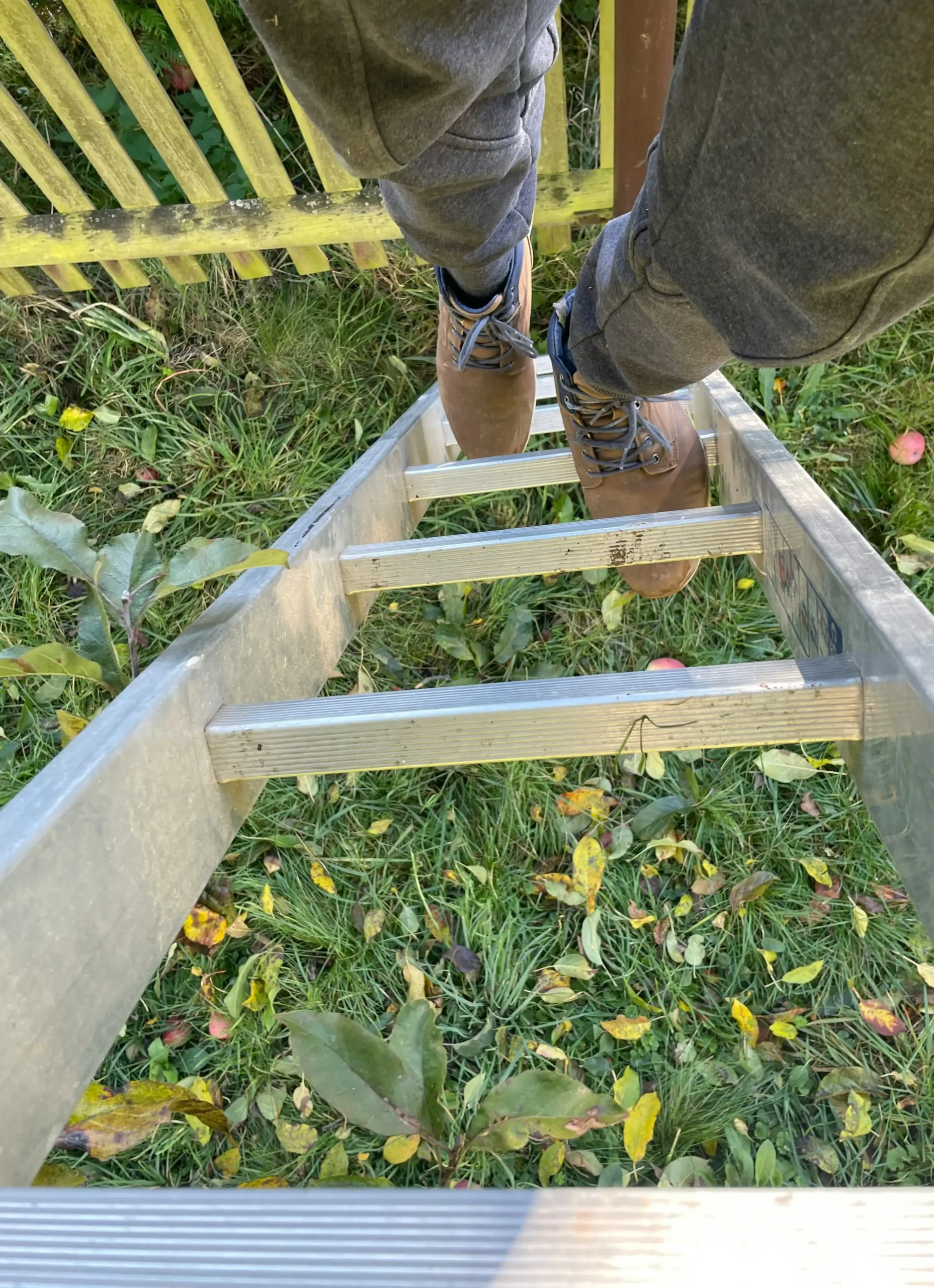 ground level truss assembly