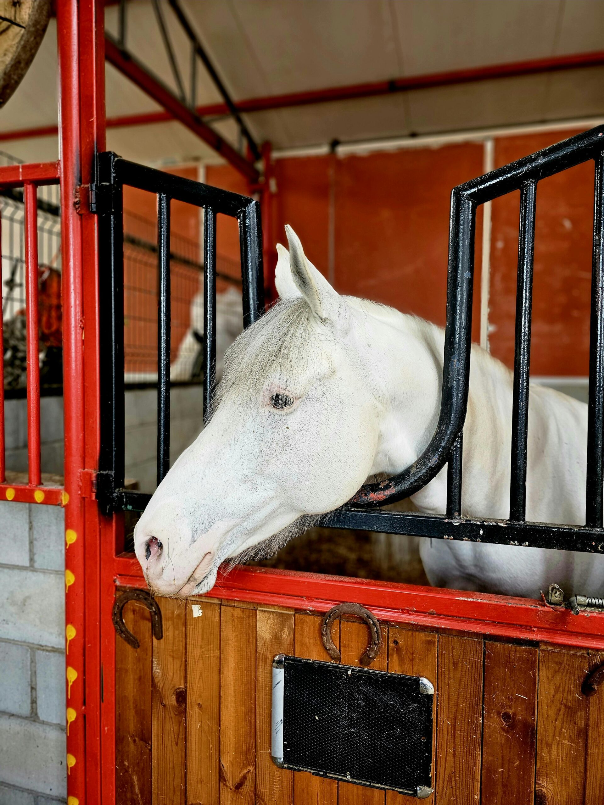 HDPE horse stable walls Installation & Retrofitting