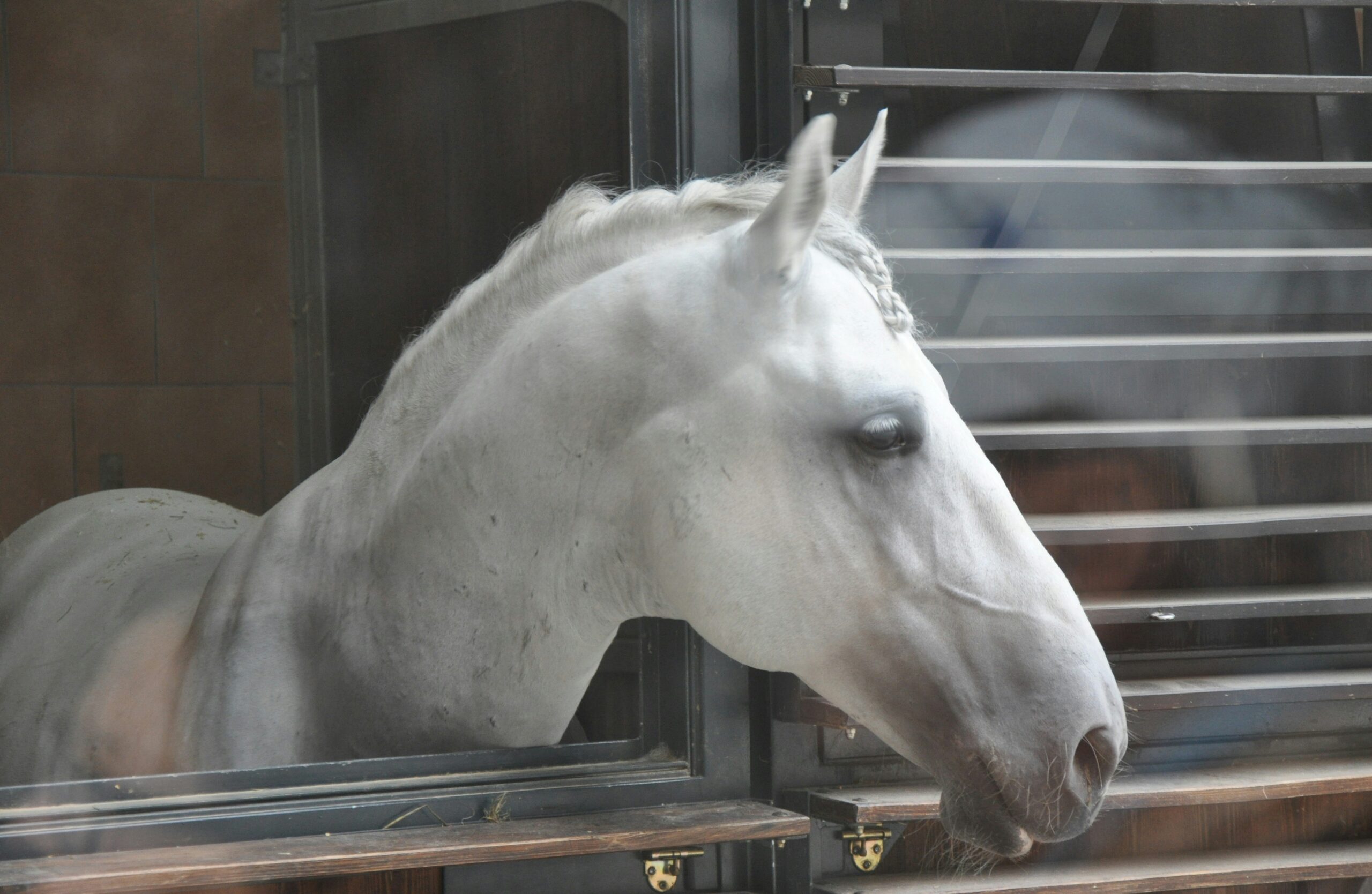 heavy duty stall fronts Custom Powder-Coated Luxury Fronts