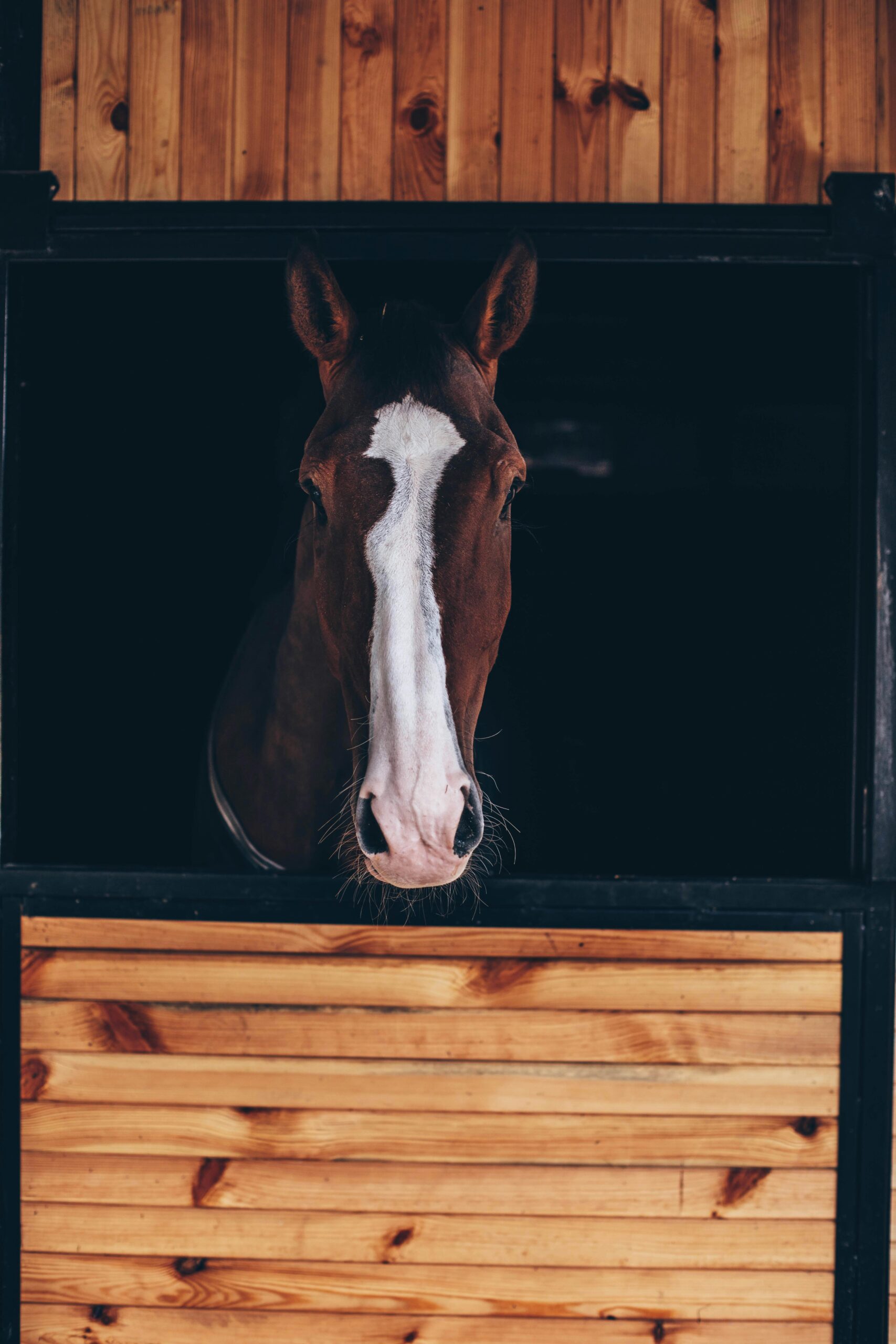 heavy duty stall fronts Key Safety Features to Look For