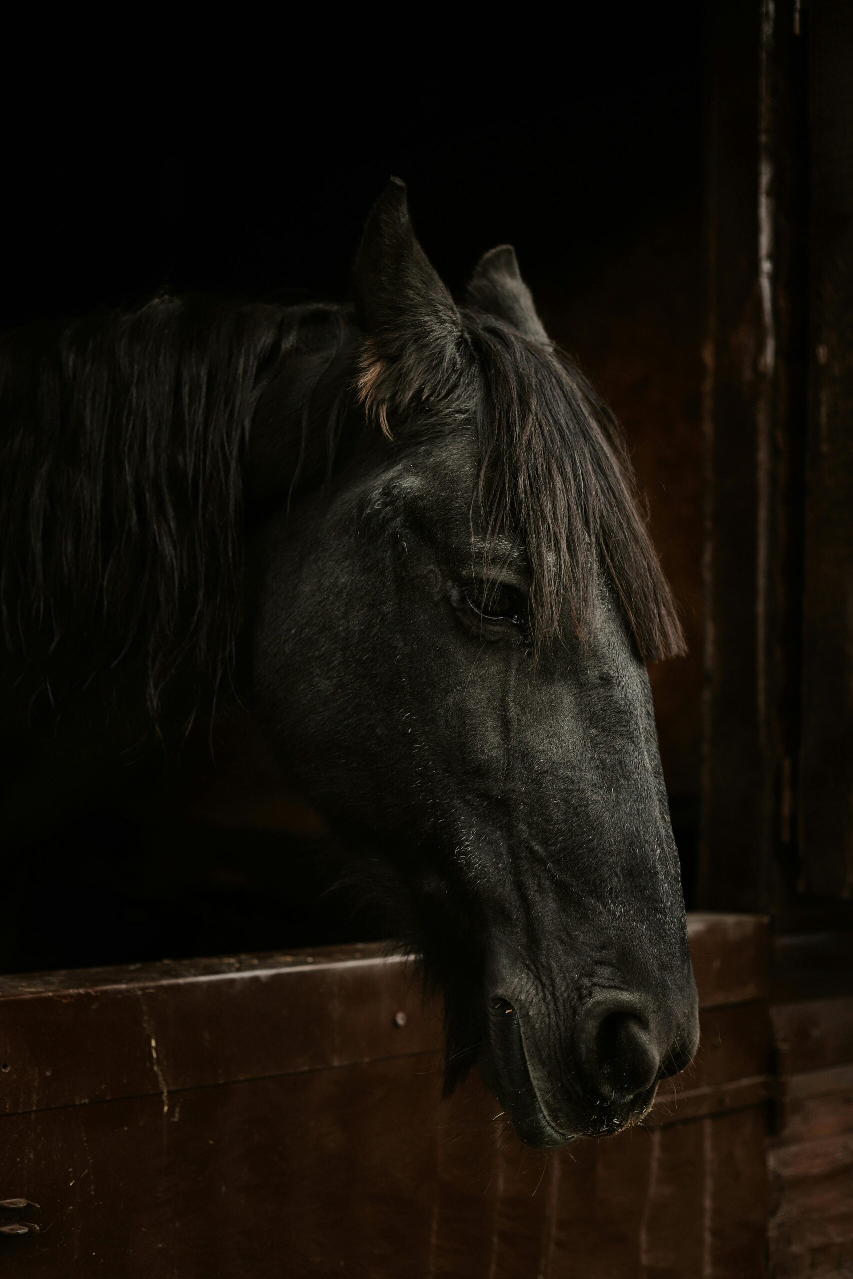 hot dip galvanized horse stables Safety: Galvanized vs Paint for Horses