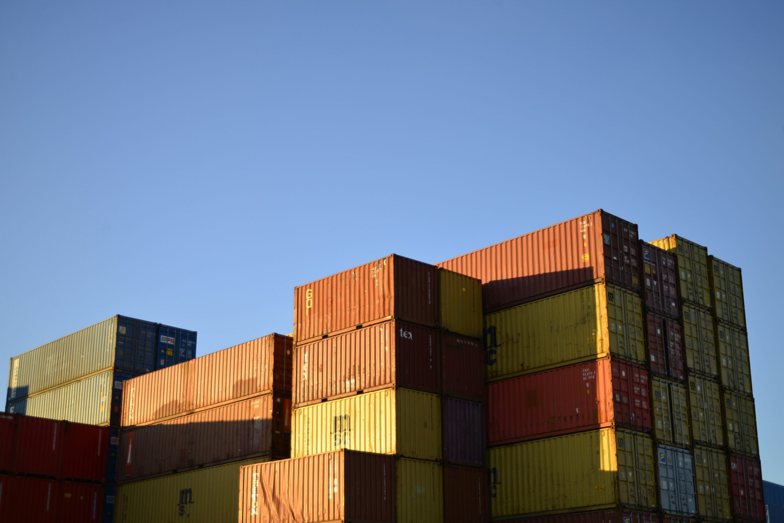 import horse stables New Zealand Customs Broker Selection Steps