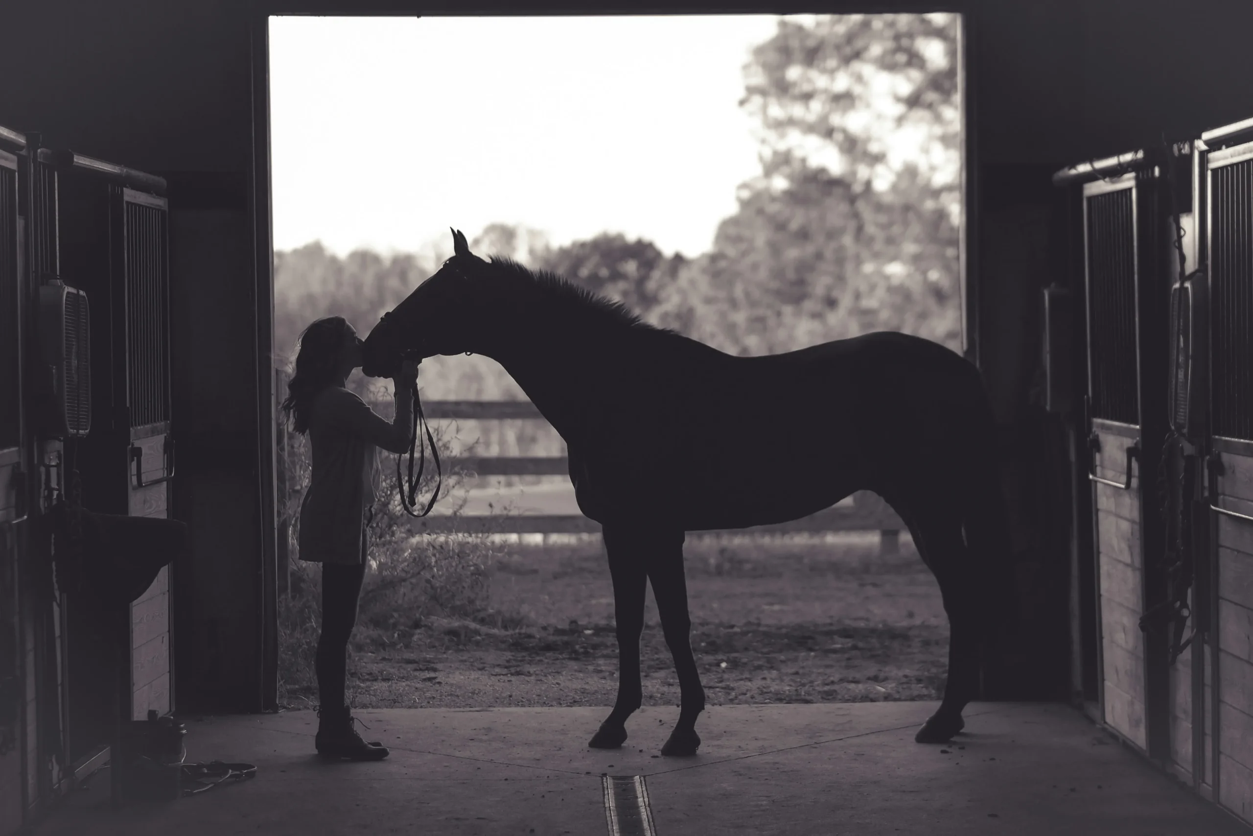 misaligned horse stall assembly mistake