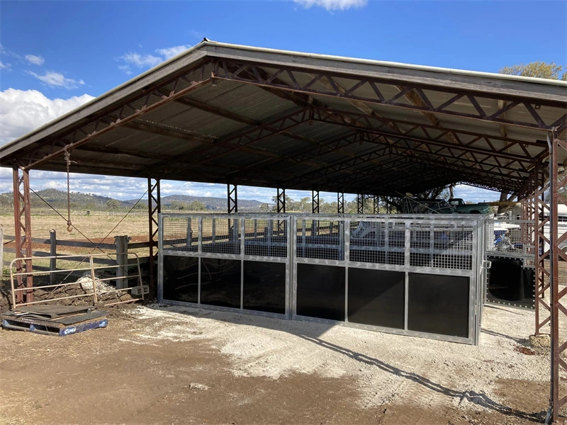 Durable portable horse stables for Australia featuring hot-dip galvanized steel frames and UV-resistant HDPE panels. The prefabricated flat-pack kit is designed for easy B2B shipping and assembly in professional equestrian facilities.