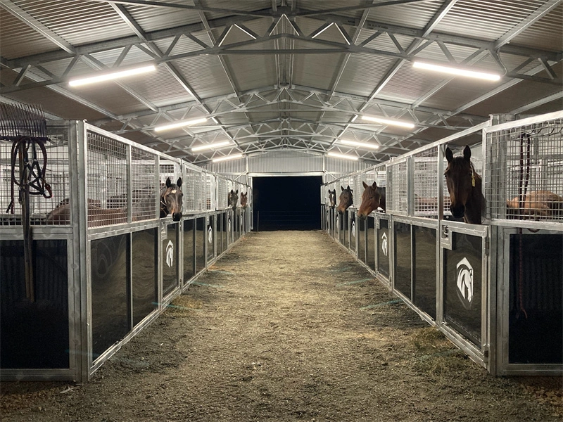 Interior of a prefabricated barn featuring our custom stable designs, showcasing durable HDPE panels and galvanized frames. This setup creates a high-quality professional equestrian facility for modern horse management.