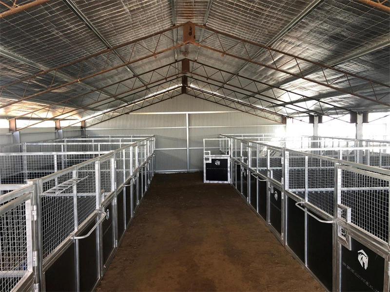 Interior view of a professionally installed transportable horse stable barn manufactured by DB Stable, featuring durable hot-dip galvanized frames and HDPE panels. This portable stable system demonstrates the quality suitable for the Oceania market.