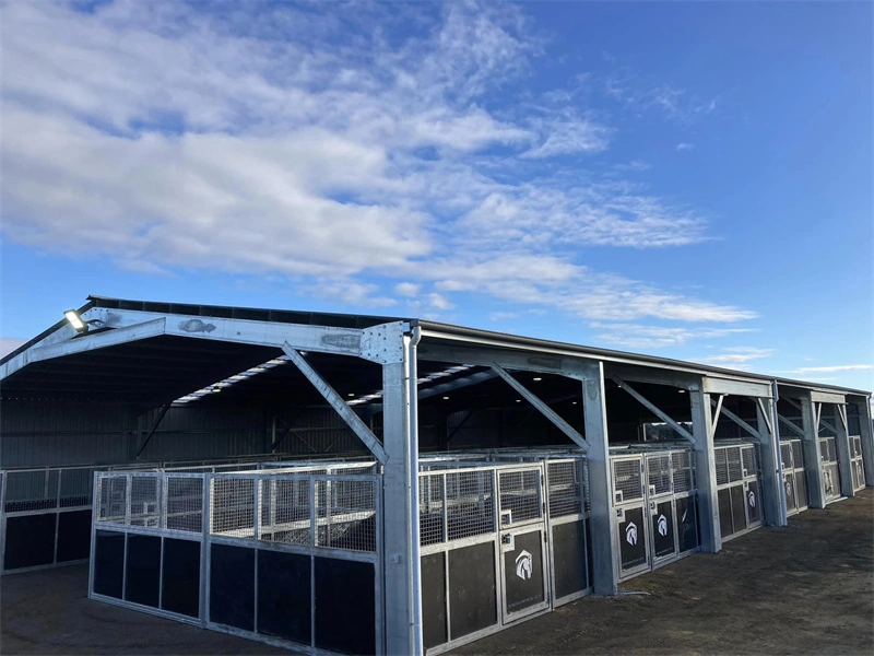 DB Stable exports durable, flat-pack portable horse stables for professional facilities in Australia and New Zealand. This image highlights our hot-dip galvanized steel frames and HDPE boards designed for the ANZ market.