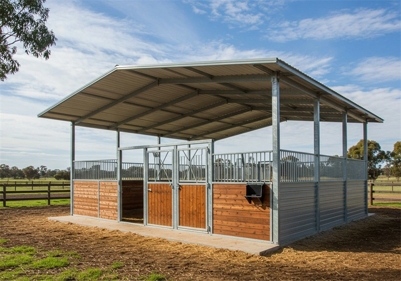 DB Stable's durable portable horse stables for ANZ feature a robust galvanized steel structure and high-quality timber cladding. This flat-pack design ensures cost-effective international shipping and easy DIY installation for professional farm projects.