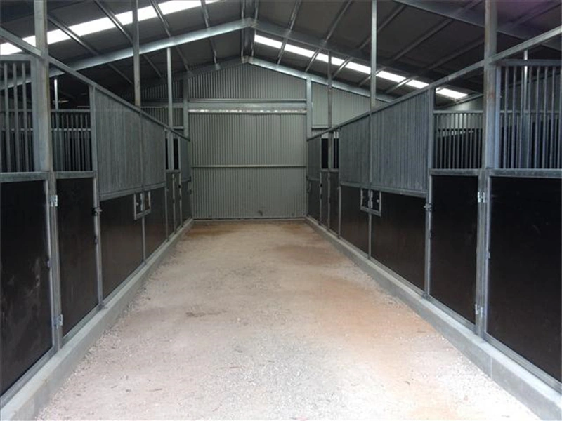 Interior view of DB Stable's hot-dip galvanized flat-pack Portable Horse Stables for ANZ markets, featuring durable HDPE walls and efficient flat-pack shipping design for easy assembly in Australia and New Zealand.