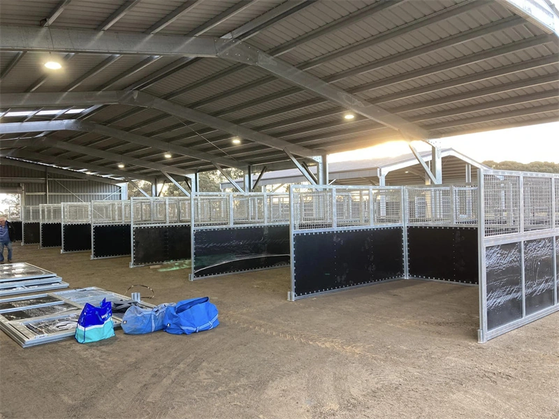 Interior view of large-scale portable horse stables under construction for a commercial equestrian center. This flat-pack portable horse stables system showcases modular panels ready for efficient on-site assembly.