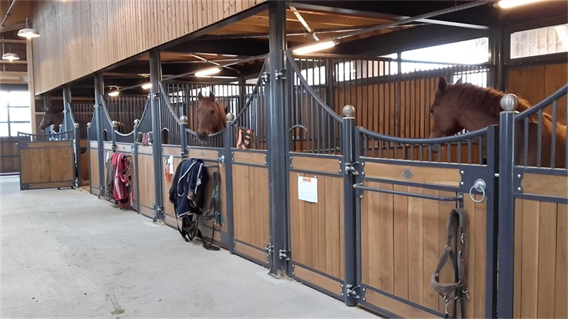 DB Stable delivers high-quality portable horse stables for ANZ markets, featuring durable galvanized frames and UV-resistant panels designed for professional equine facilities.
