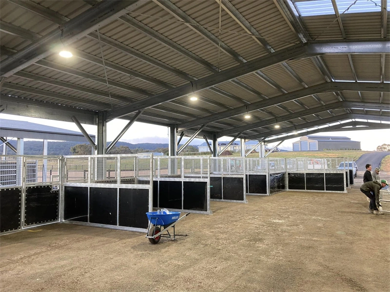 A B2B view of hot-dip galvanized portable horse stables featuring 10mm UV-resistant HDPE panels and a secure metal roof. DB Stable manufactures these cost-effective stable kits designed for professional equestrian facilities and easy installation in the ANZ region.