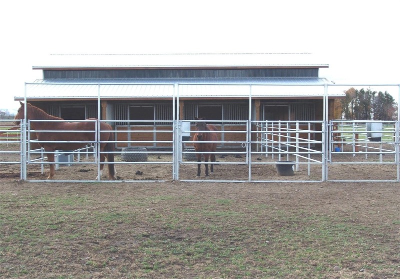DB Stable manufactures robust Portable Horse Stables for ANZ, featuring the hot-dip galvanized frames and secure panels shown here. These cost-effective, DIY stable kits are engineered for high durability and easy international shipping to Australia and New Zealand.