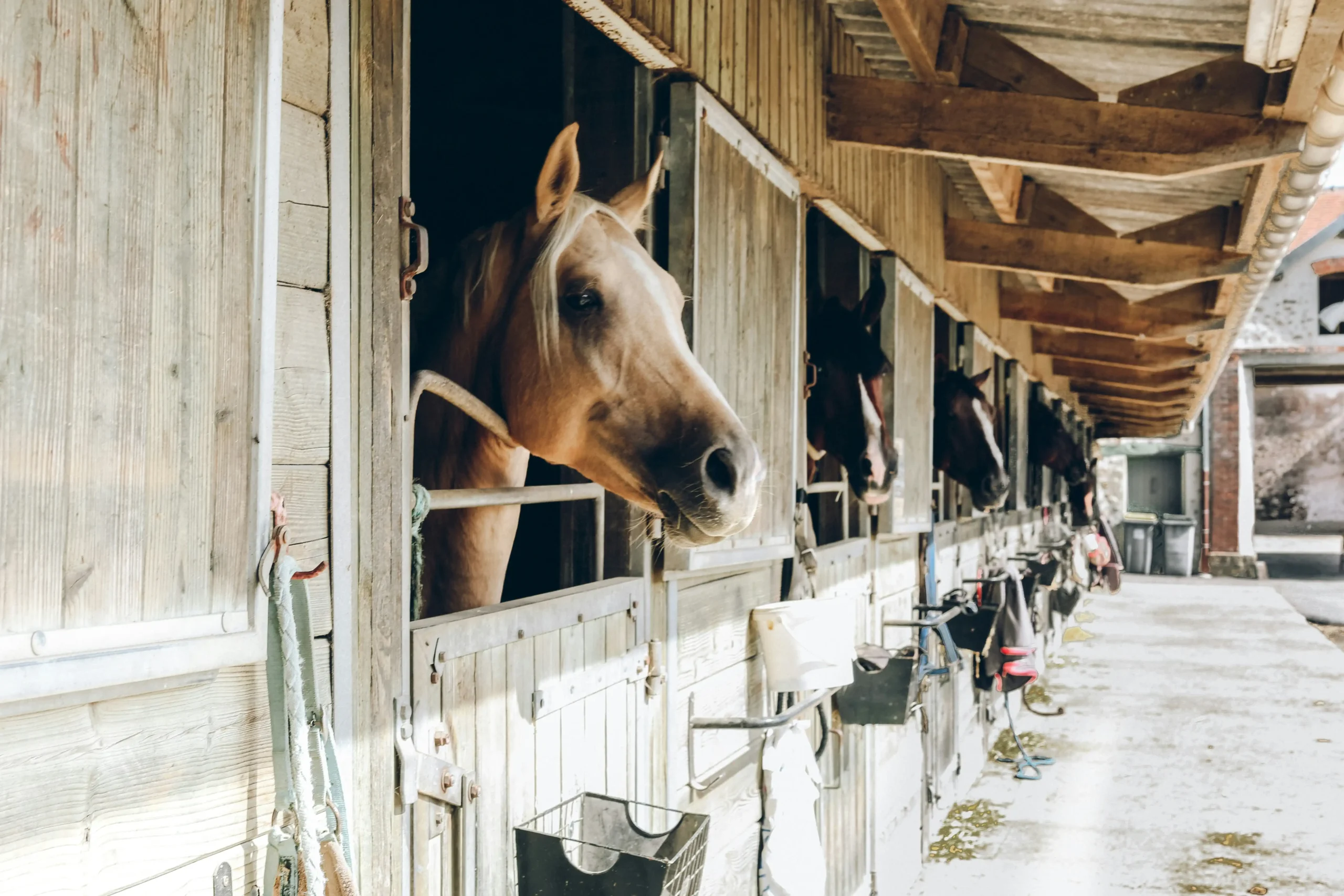 unsplash-image-ccsbihfjfty-by-anna-kaminova